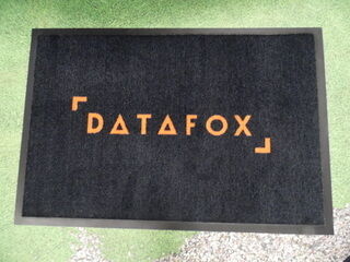 Logomatto Datafox
